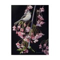 Trademark Fine Art Ron Parker 'Titmouse And Blossoms' Canvas Art, 24x32 ALI32616-C2432GG